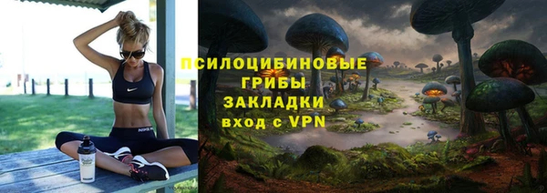 ПСИЛОЦИБИНОВЫЕ ГРИБЫ Заволжск