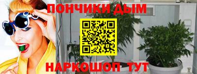 гашик Бийск