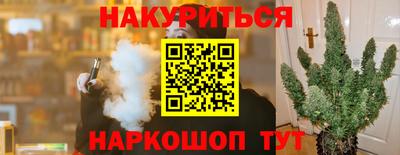 гашик Бийск