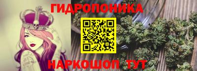 гашик Бийск