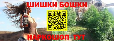 гашик Бийск