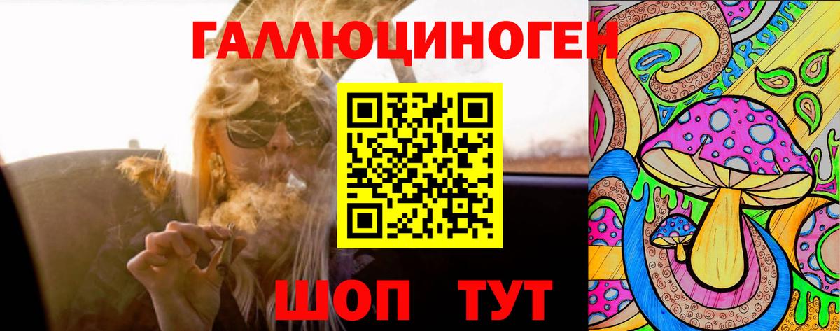 Галлюциногенные грибы Cubensis Клин